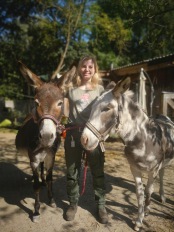 Tierärztin Dr. Katrin Schwanse